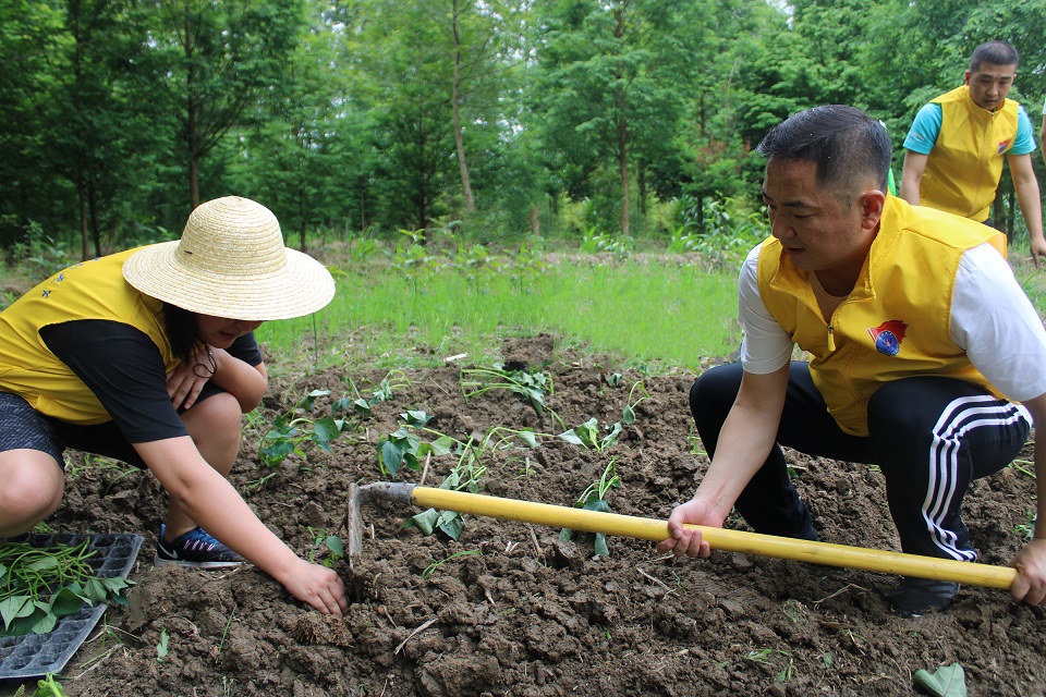 6月4日，崇州市街子鎮(zhèn)會(huì)元村，售電黨支部書記總經(jīng)理杜剛，幫助留守老人除草種地插秧苗.jpg